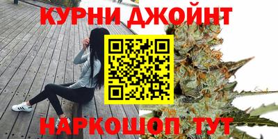 дмт Нальчик